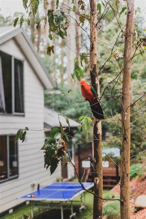 Private, Luxury Rehab in Australia .